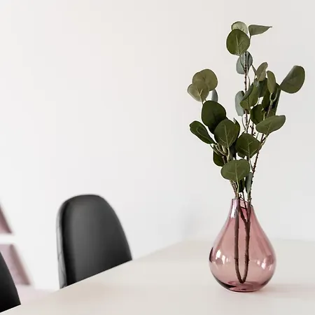 Kamienica Centrum 16 アパート