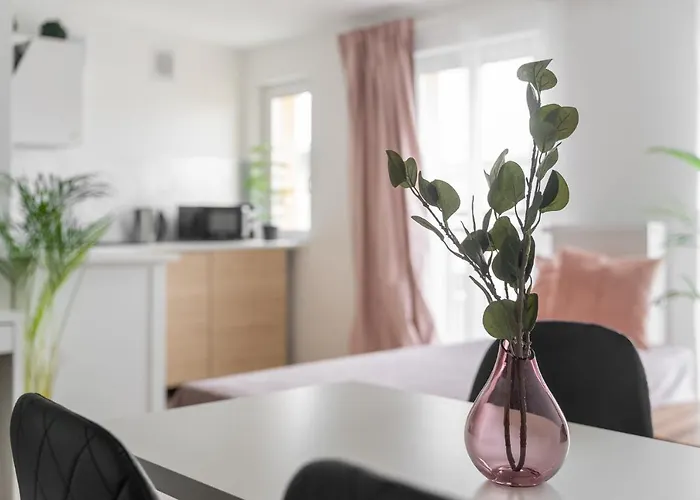 Kamienica Centrum 16 アパート *