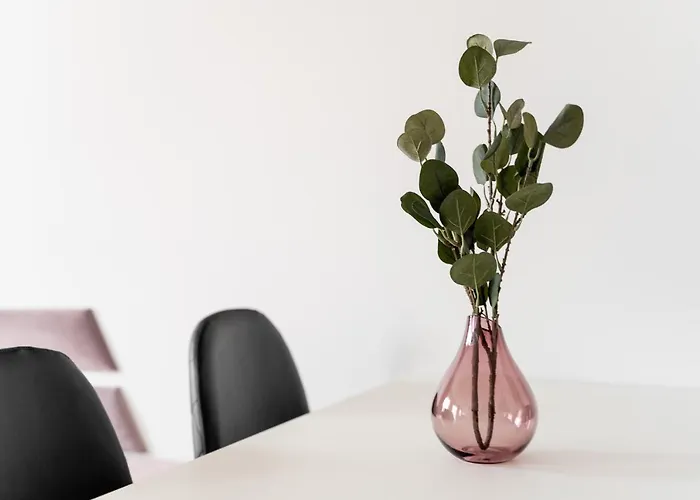 Kamienica Centrum 16 Apartment