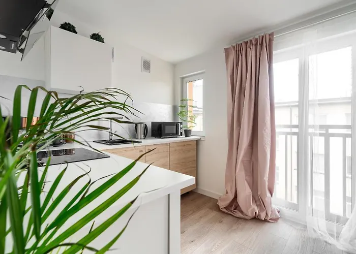 Kamienica Centrum 16 シュチェチン